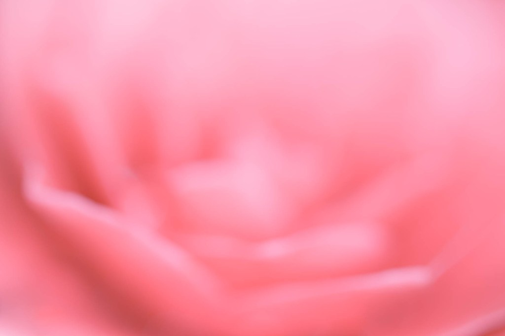 Out of focus flowers – an&nbsp;experiment